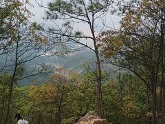 -马口生态公园