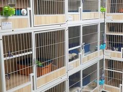 -猫宠乐园·专业洗护