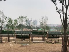 -太原动物园