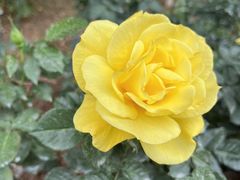 -人民公园(罗湖区)