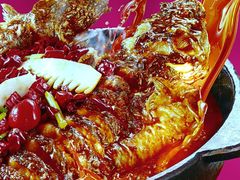 -老板恋上鱼(恒隆广场店)