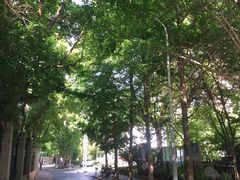 -阿婆油墩子(五里桥路188弄小区店)