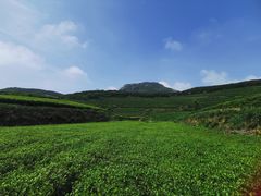 -嵛山岛