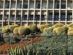 -墨尔本皇家植物园
