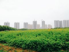 -人杰湖公园(地铁站)