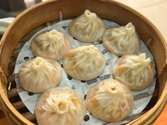 -莱莱小笼·乔艾