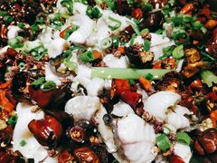 -棒棒鱼活鱼火锅(防洪渠店)