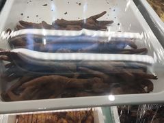 -紫光园清真北京小吃(广渠门内店)
