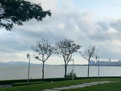 -深圳湾公园(南山区)