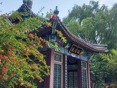 -济南国际园博园