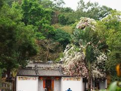 -深圳国际园林花卉博览园