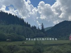 -芦芽山旅游度假区