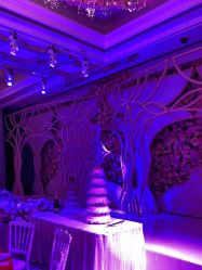 -曼格纳婚礼艺术中心(张江店)