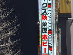 -秋叶原电器街