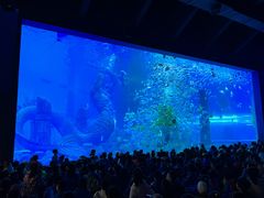 -哈尔滨波塞冬海底世界