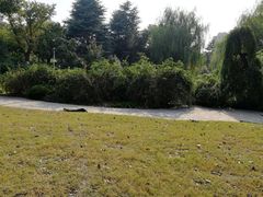 -花溪公园