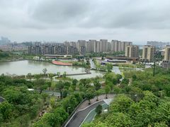 -飞凤山奥体公园