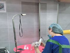 -宠福鑫康馨动物医院·骨科·眼科