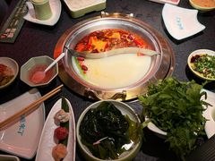 -熊喵来了火锅·牧场好肉(邯郸邯山万达店)