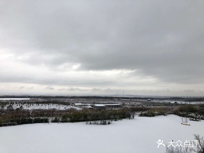 上海崇明金茂凯悦酒店图片