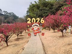 -南国桃园旅游度假区