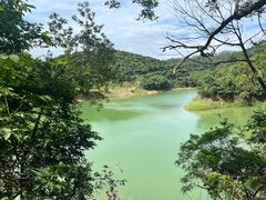 -东莞市大岭山森林公园