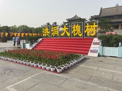 -大槐树寻根祭祖园