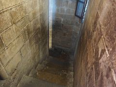 -圣母百花大教堂穹顶