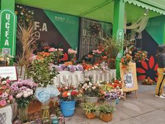 -重庆市江北嘴中央商务区中央公园