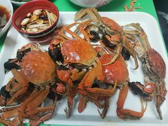 -龙小海荆沙鸽子店(瑞安街店)
