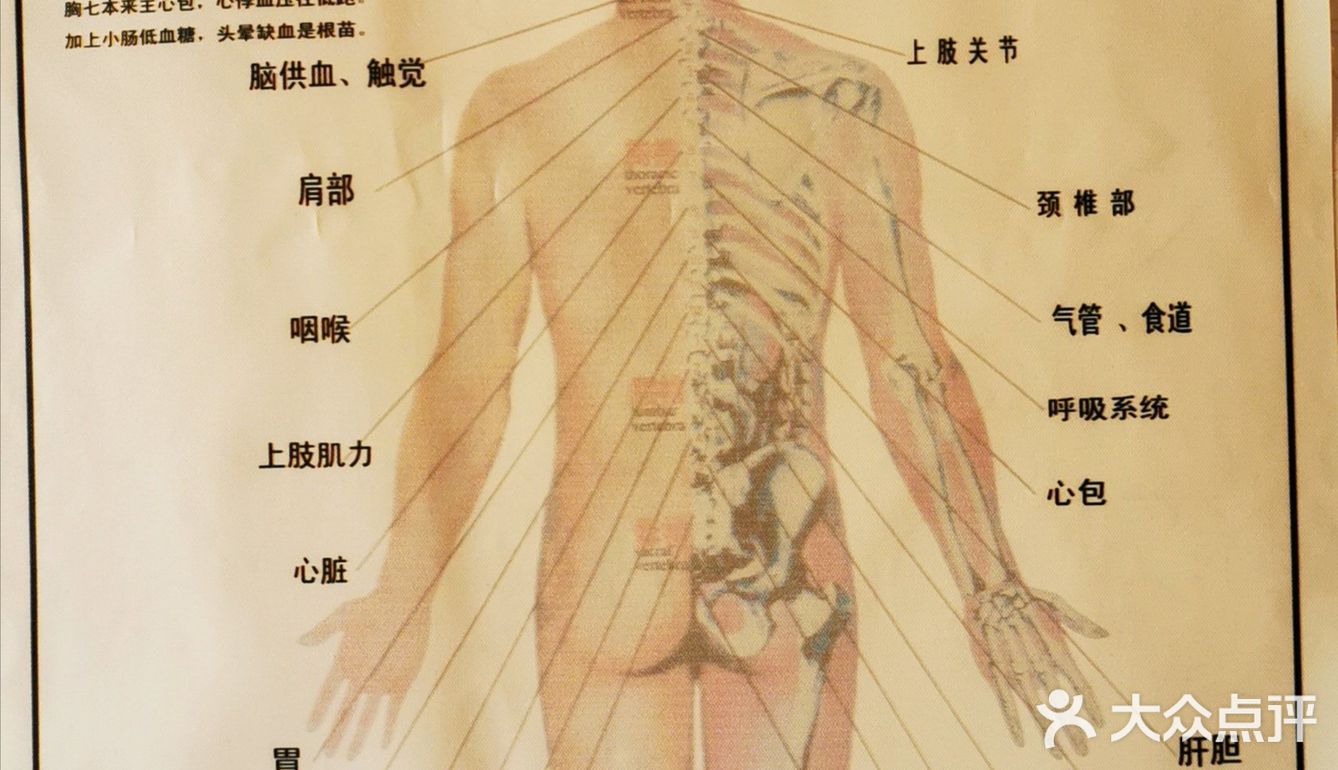 梦丽贝缇瘦身健美馆