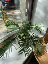 -M+hair salon专业造型沙龙
