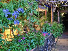 -西西里轰趴日租聚会别墅·团建拓展