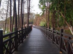 -海珠湖公园