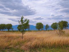 -野鸭湖国家湿地公园