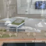 可以好好看看建筑看看展，赏赏花望望江