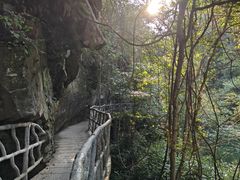 -石台牯牛降景区