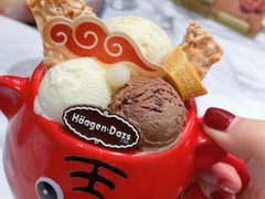 虎虎生威外带冰淇淋杯-哈根达斯(芳圆里店)