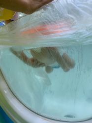 -鱼乐贝贝婴幼儿游泳中心(梅江印象城店)