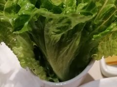 -浩爷羊蝎子火锅(望京店)