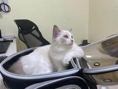 -美联众合24小时·皮肤科·外科·全科诊疗中心(华苑分院)