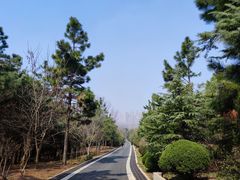 -大蜀山国家森林公园