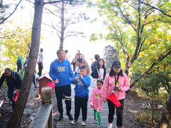 -帽儿山国家森林公园