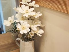 -王守财小山園