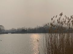 -大兴滨河森林公园