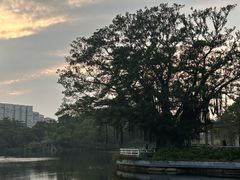 -荔湾湖公园
