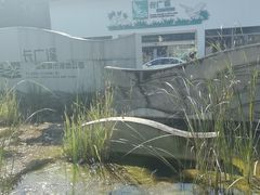 -长广溪湿地公园