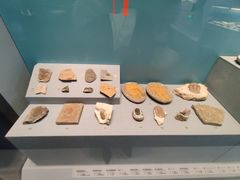 -湖南省地质博物馆