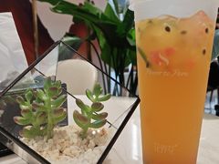 -春丽小马(济南恒隆广场店)