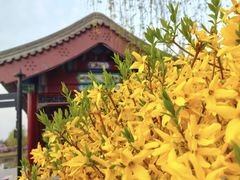 -西海子公园